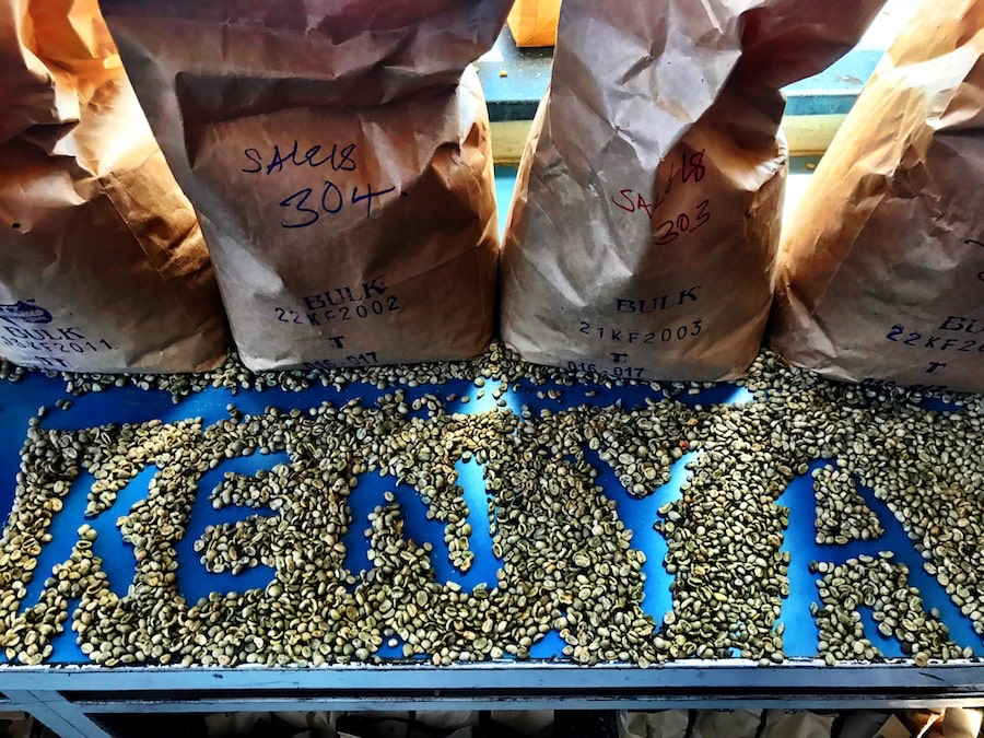 에티오피아 예가체프