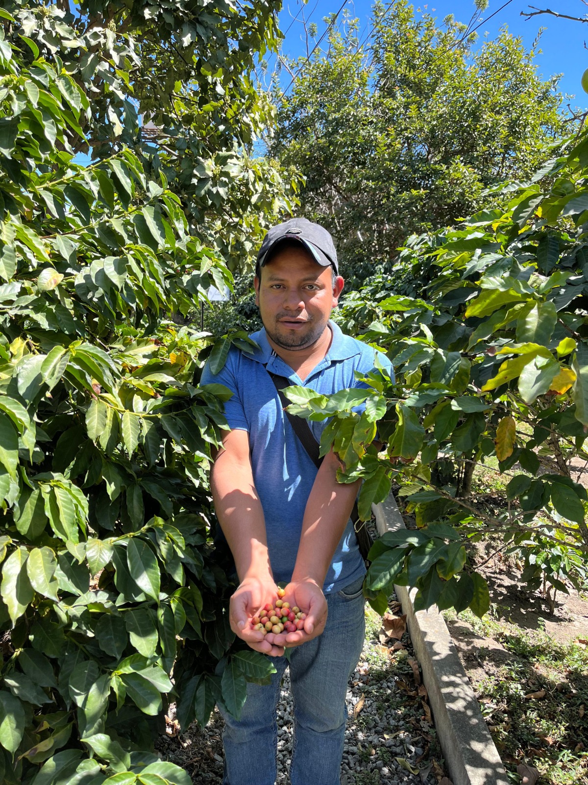 Finca Jolimex